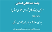 سلسله جلسات هماهنگی دبیرخانه شوراهای همکاری استان‌ها برگزار می شود